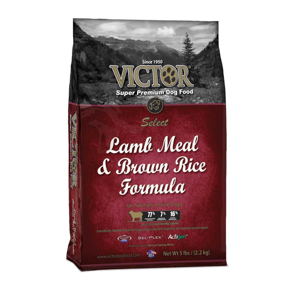 Lamb Meal & Brown Rice Dog Food V237760