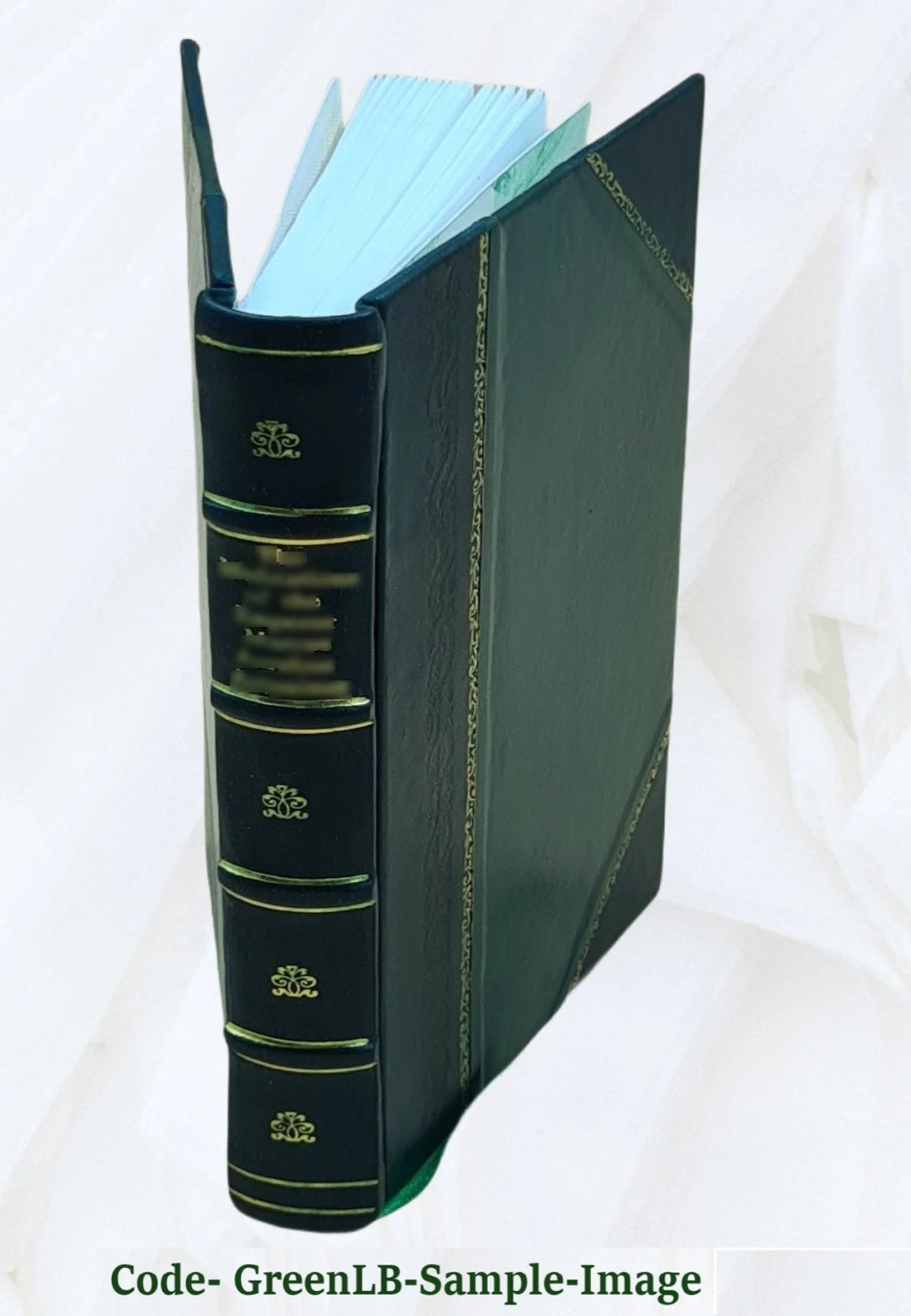 Leather Bound C26418