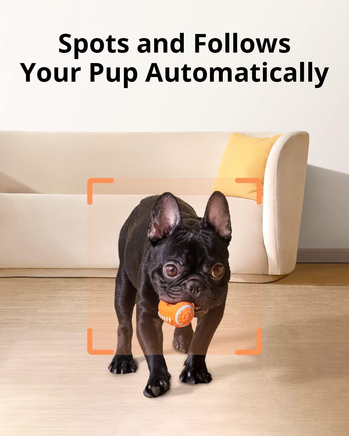 Pet Dog Camera with Treat Dispenser, 2-Way Audio, Night Vision R616