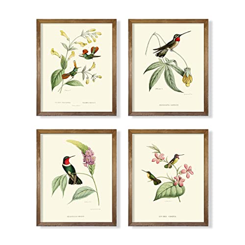 Beige Green Bird Wall Art Poster F7386