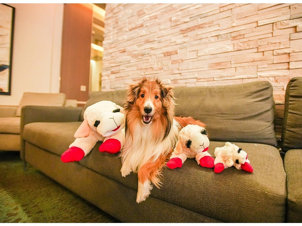 Plush Toy Lambchop Dog Toy for Small Dog Breeds O704