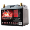 Group 26R AGM Battery C3983