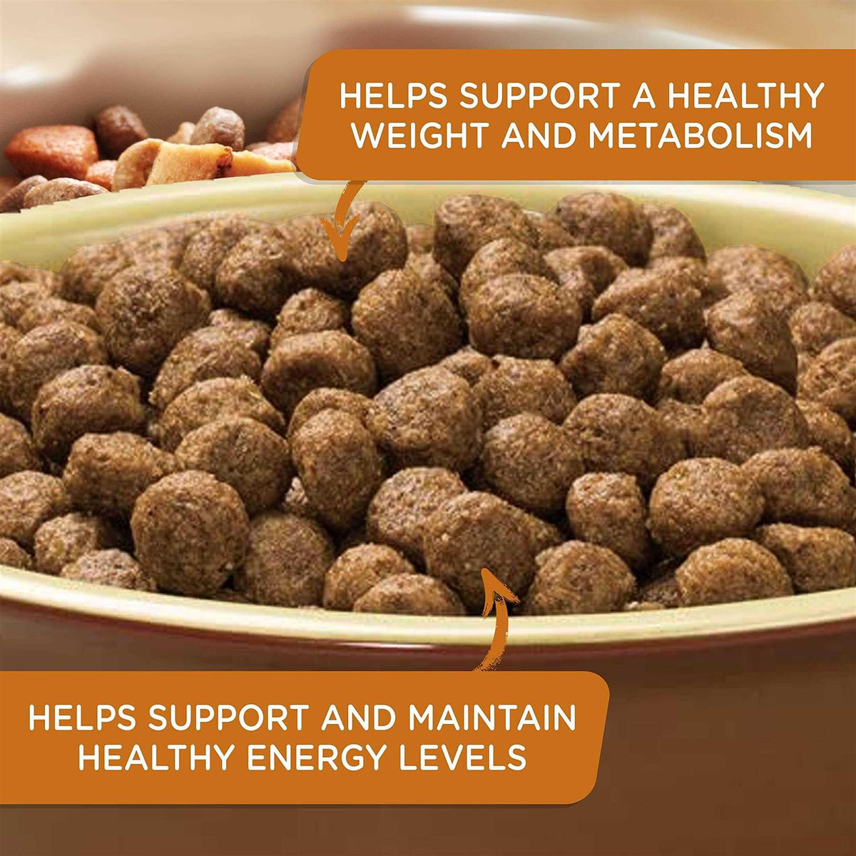 Turkey Brown Rice & Venison Recipe Dry Dog Food B2403