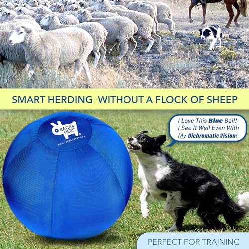 18" Herding Ball for Dogs M4256
