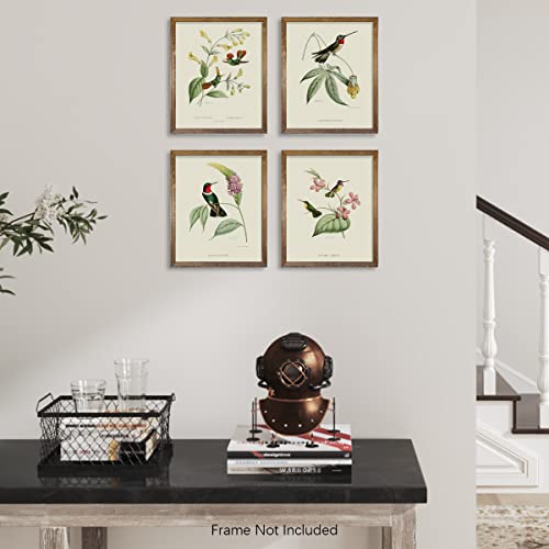 Beige Green Bird Wall Art Poster F7386