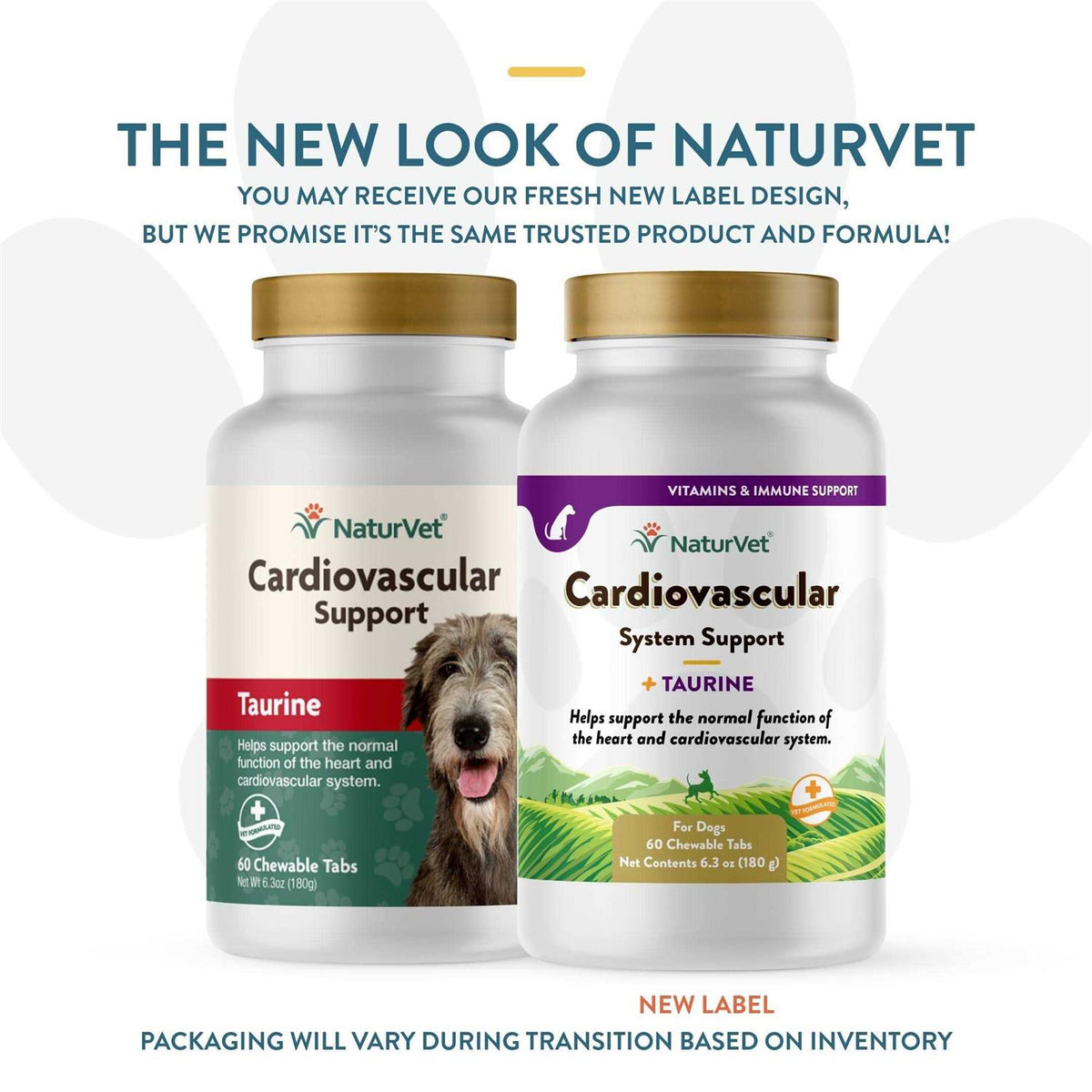 Cardiovascular Support for Dogs Q106