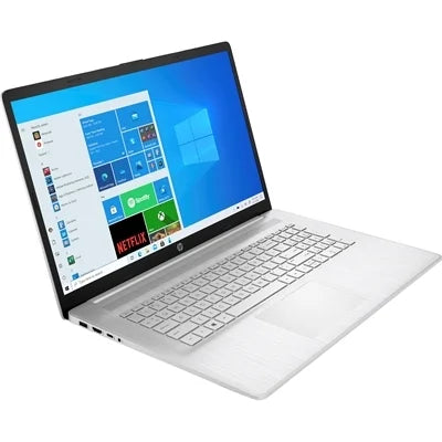 Silver 17" Laptop E17686