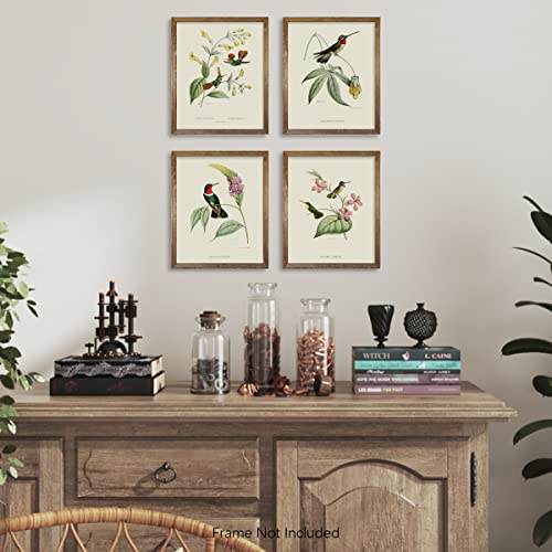 Beige Green Bird Wall Art Poster F7386