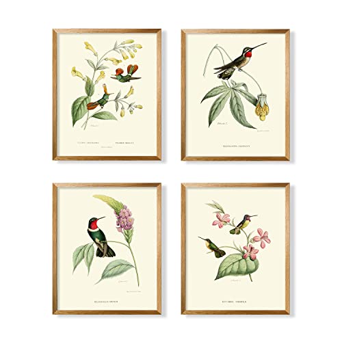 Beige Green Bird Wall Art Poster F7386