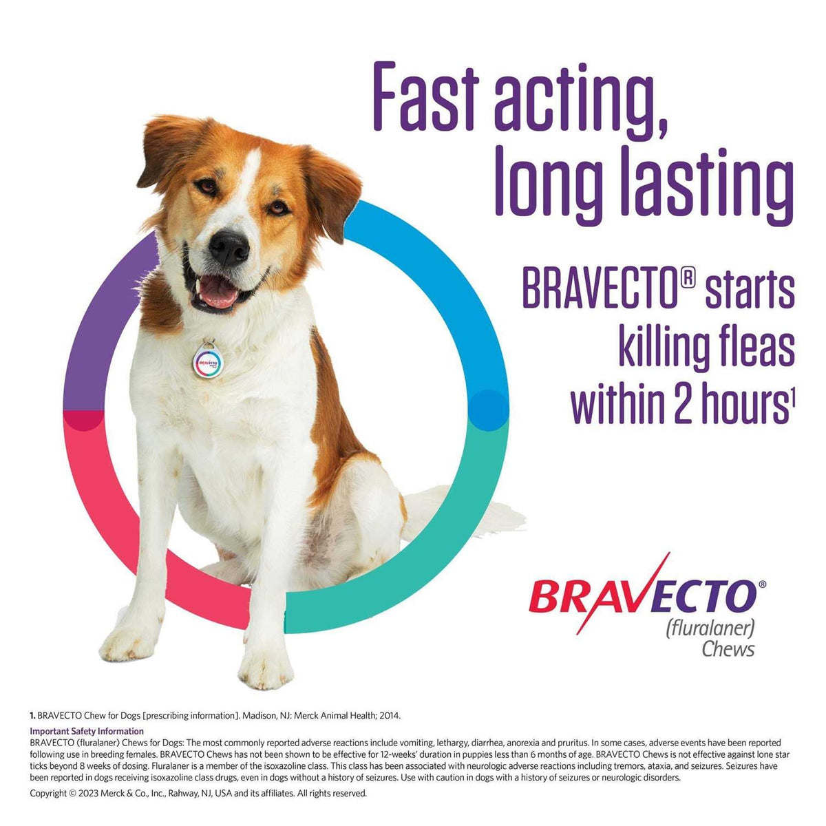 Bravecto Chews for Dogs 44-88 lbs U648