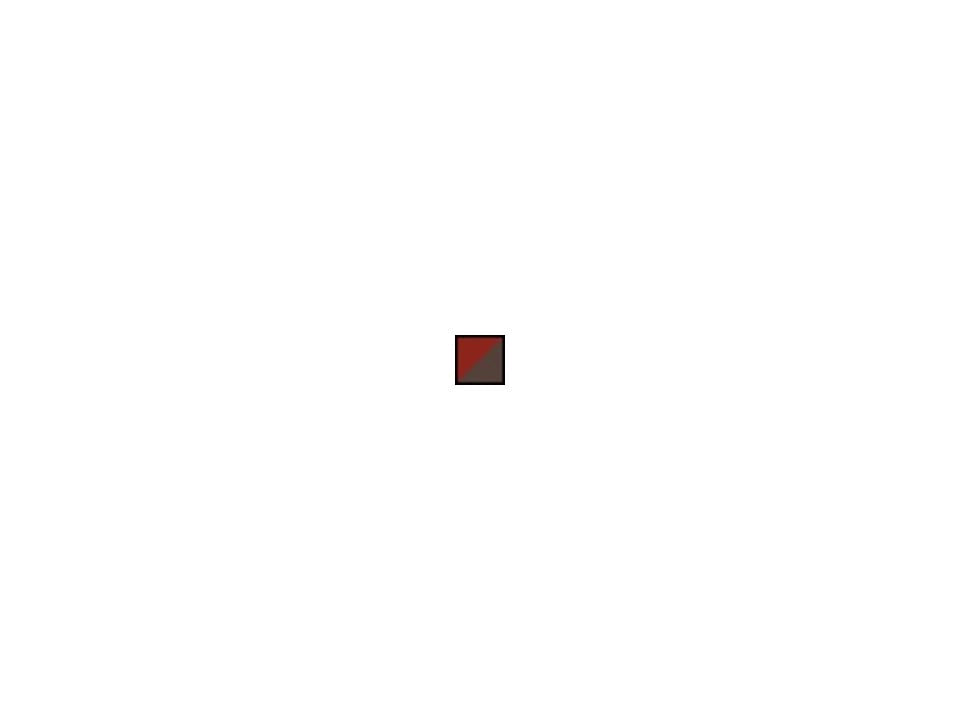 Rusted Red Day Pack J5647