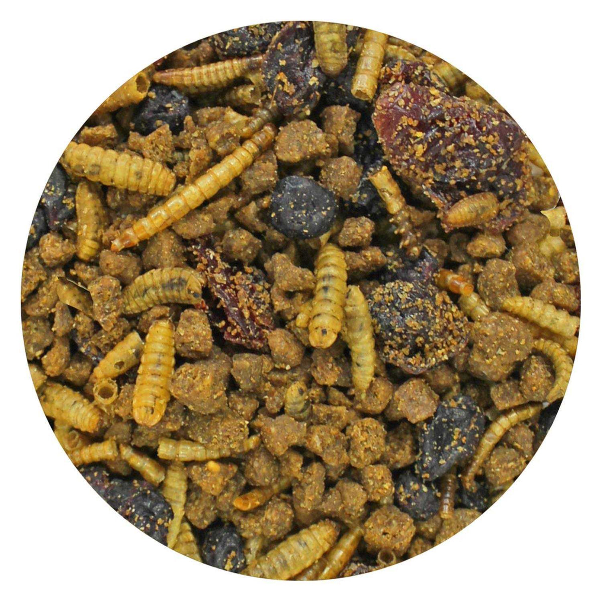 Berries & Bugs Insectivores Food L58848
