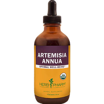 Artemisia annua U9350