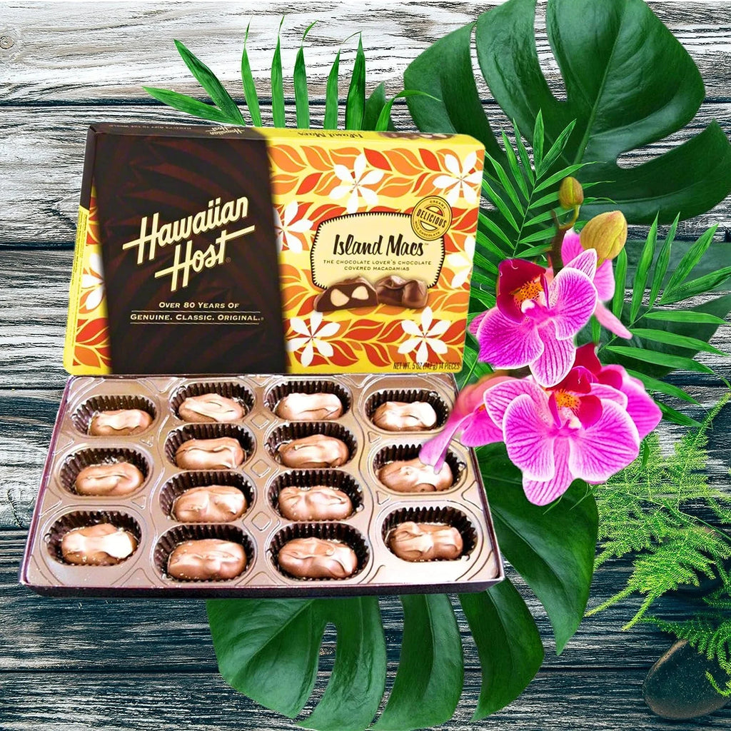 6 Pieces Macadamia Nuts Y8759