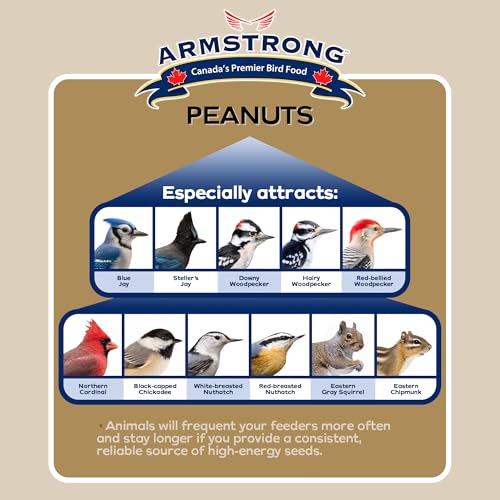 Shelled Peanut Halves Bird Seed 20 Pounds N16491