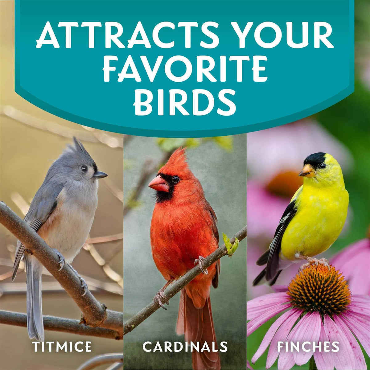 Wild Bird Food V7938
