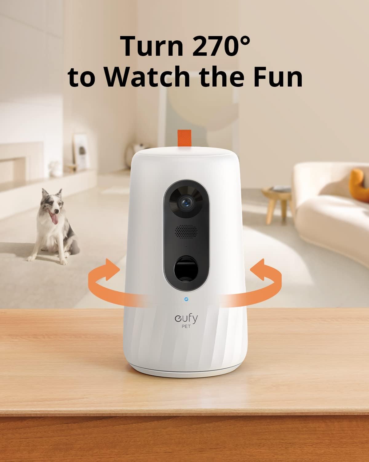 Pet Dog Camera with Treat Dispenser, 2-Way Audio, Night Vision R616