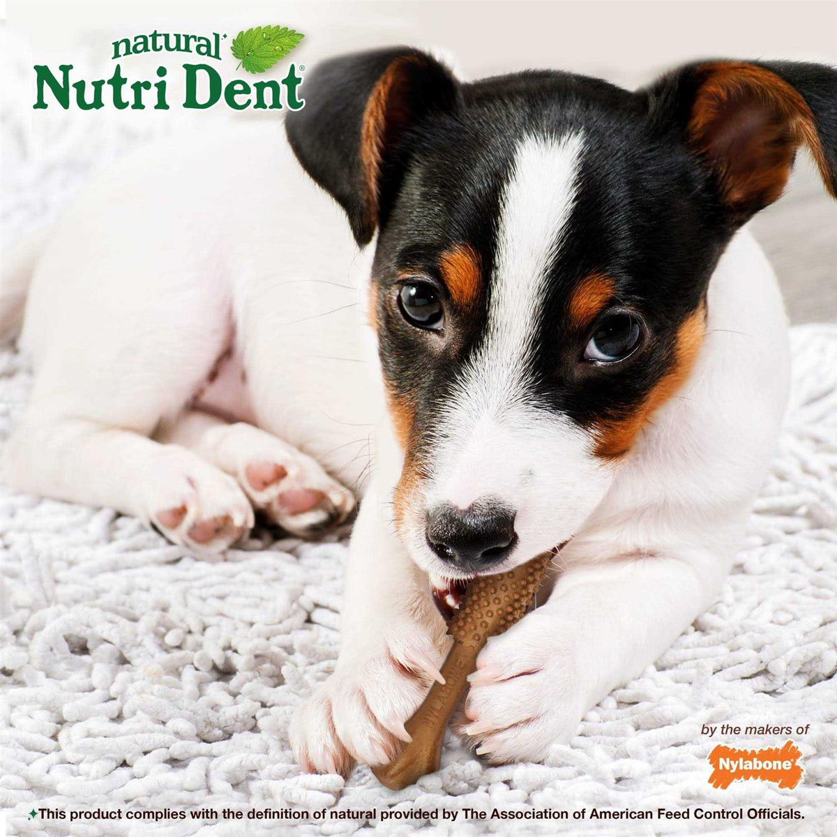 Nutri Dent Dental Chews Filet Mignon D657220