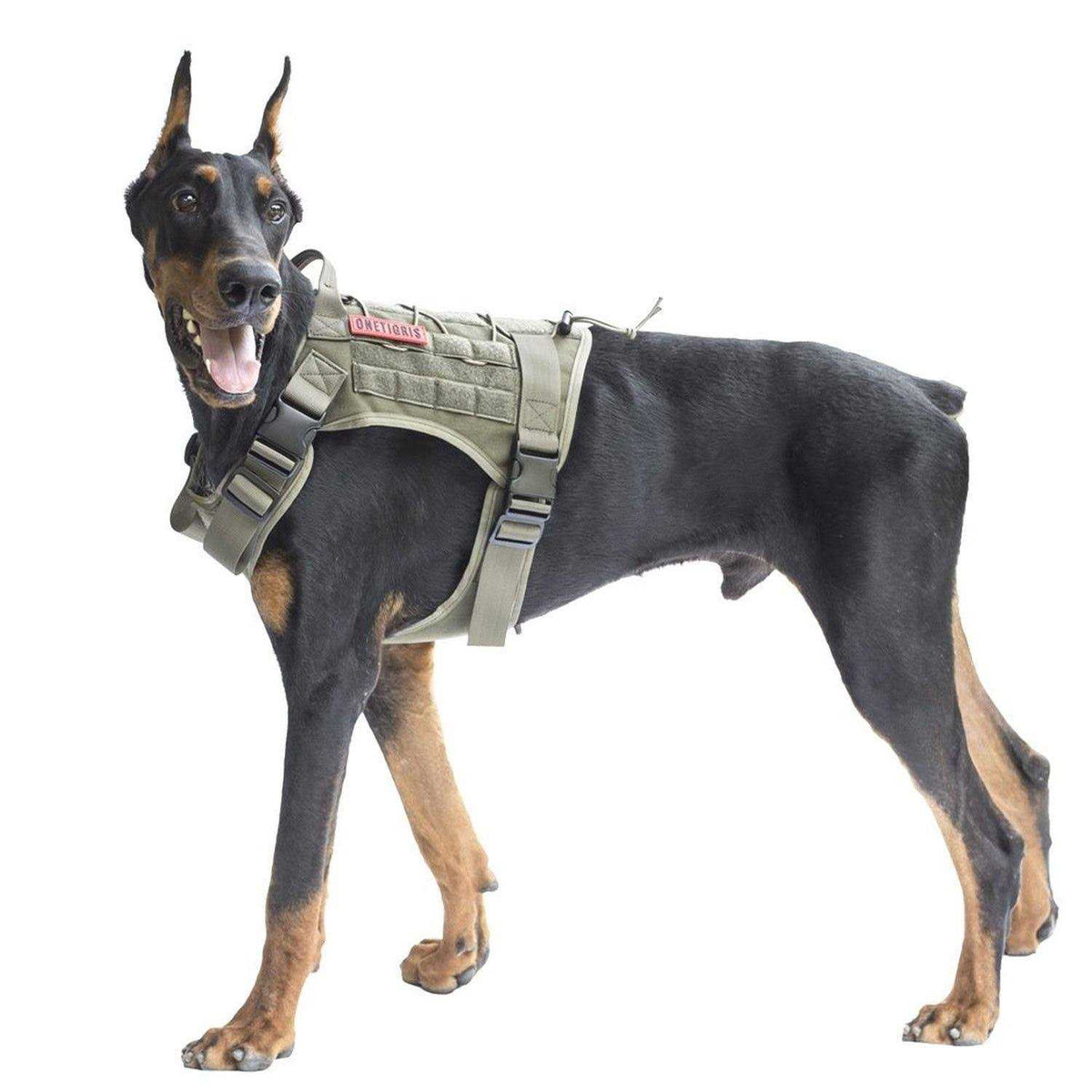 Tactical Dog Harness N809009