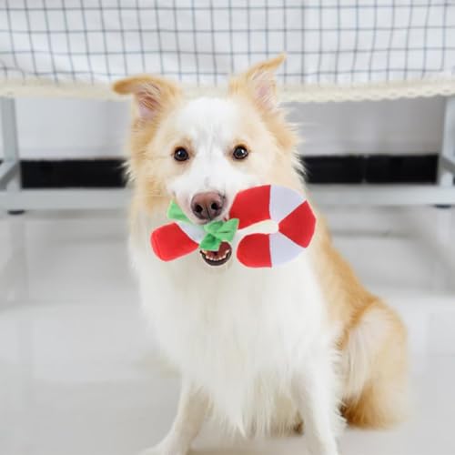 Squeaky Christmas Candy Cane Plush Dog Toy H820
