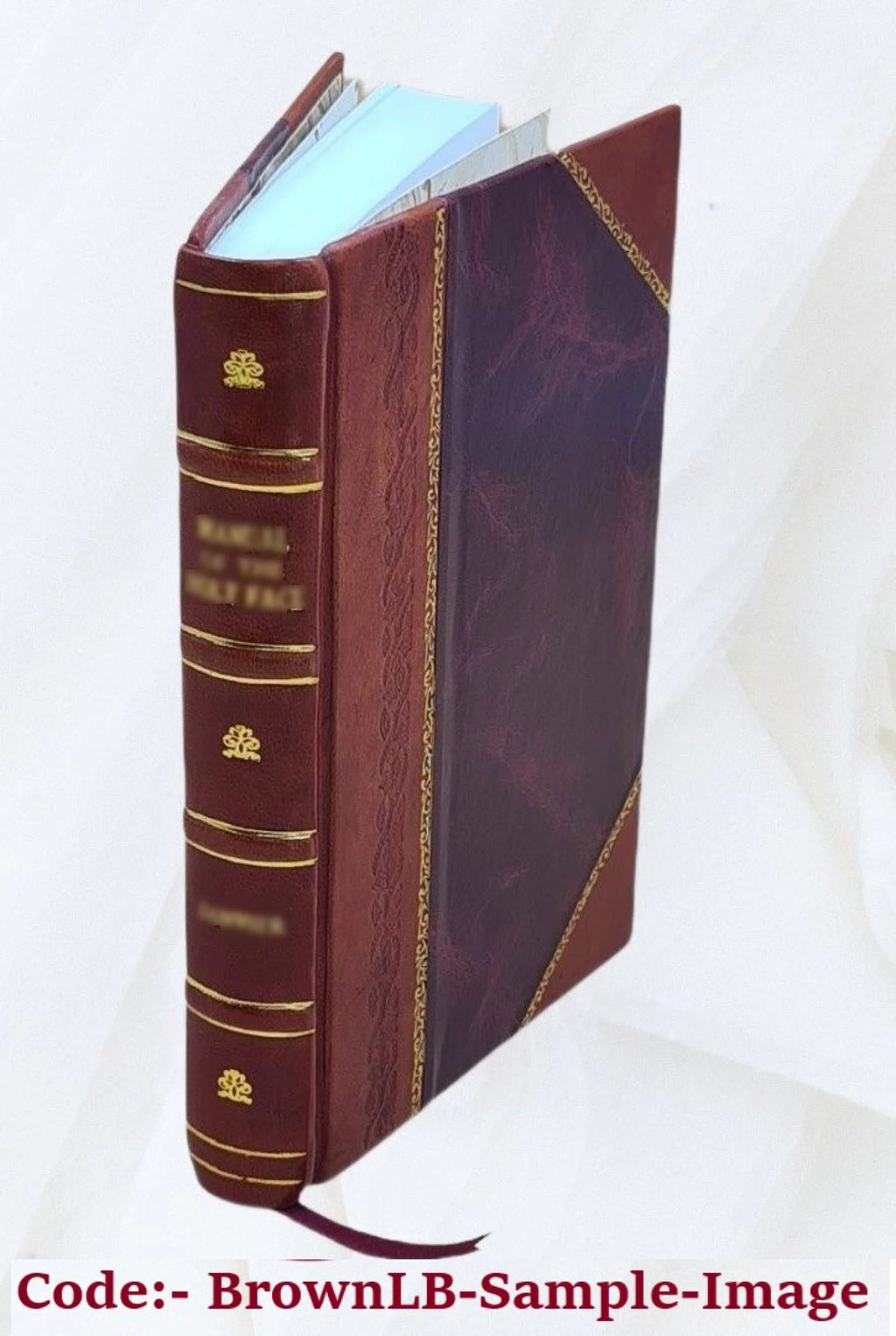 Electrical Instruments and Testing Leather Bound X4866