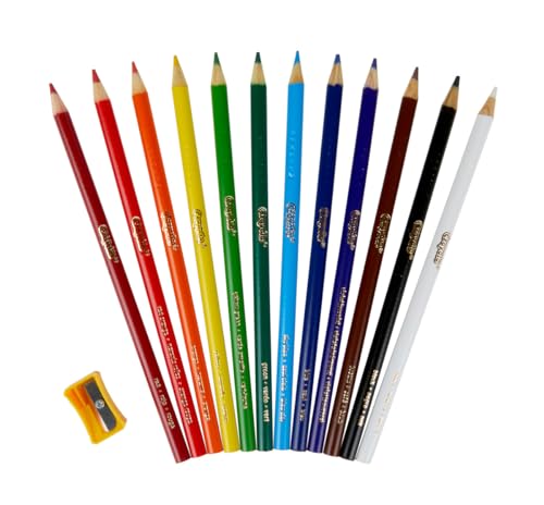 240ct Colored Pencils 12 Colors Y474